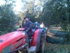 ric_lavoro