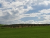 murgia