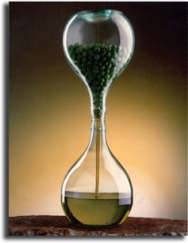 olio d'oliva extravergine 12
